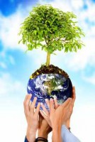 /album/egyensulybanma/a7-jpg/